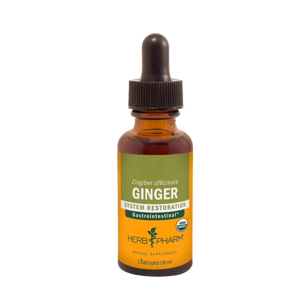 Ginger Liquid Herbal Extract